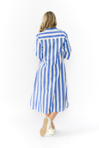 Sofia Shirt Dress