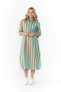 Sofia Shirt Dress