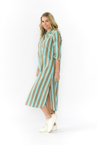 Sofia Shirt Dress
