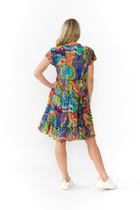 Leela V Neck Mini Dress