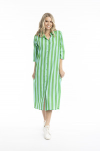 Sofia Shirt Dress