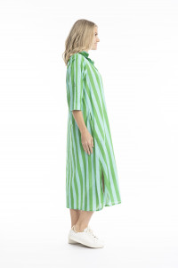 Sofia Shirt Dress