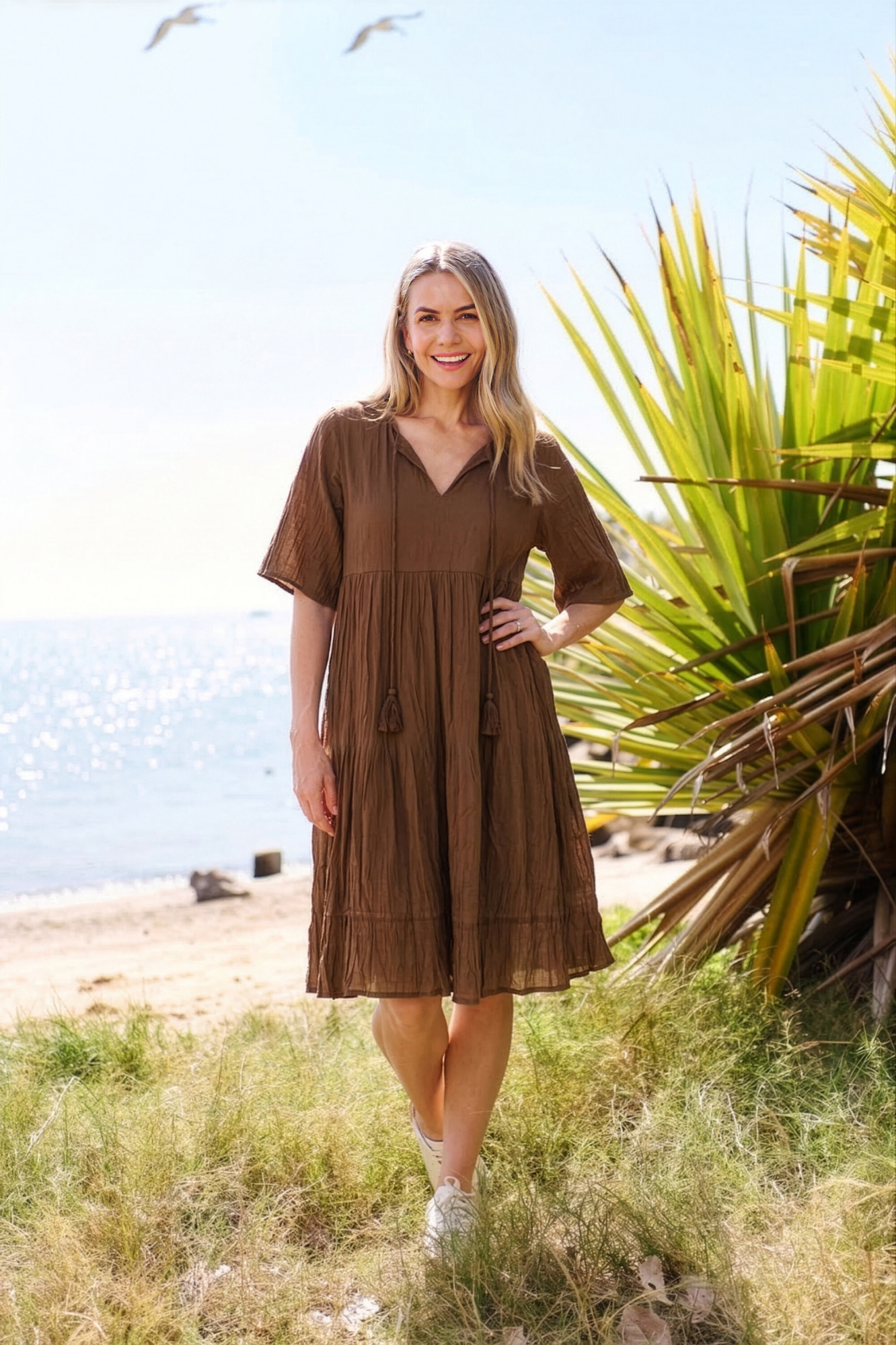 Amber Dress Solid With Lining