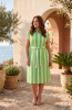 Stripe Dress Collar Tie Waist