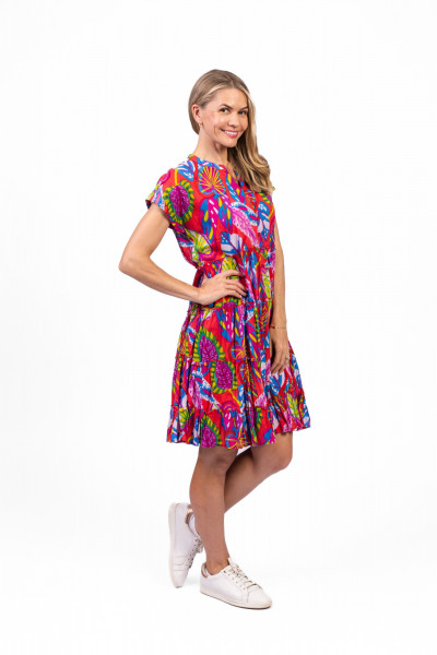 Leela V Neck Mini Dress