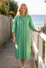 Sofia Shirt Dress