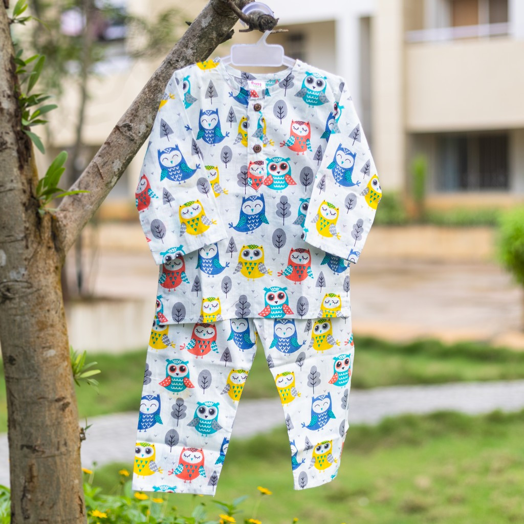 White Blue Owl Print Night Dress