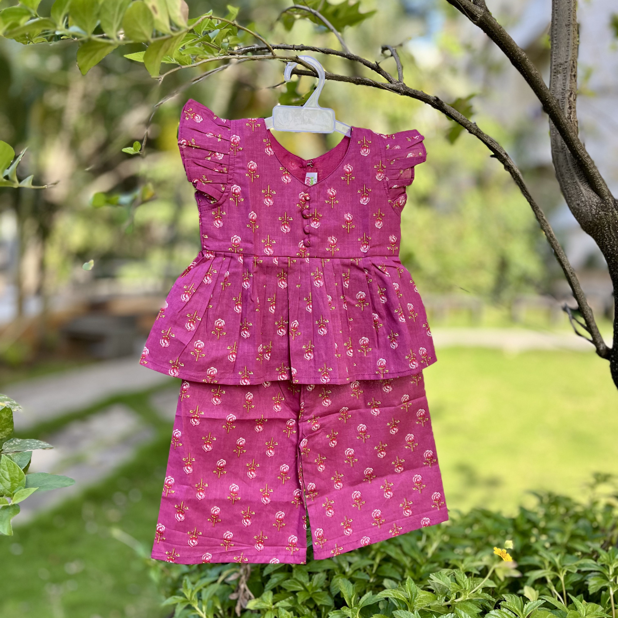 Mulberry Meadow Peplum Pallazo Set