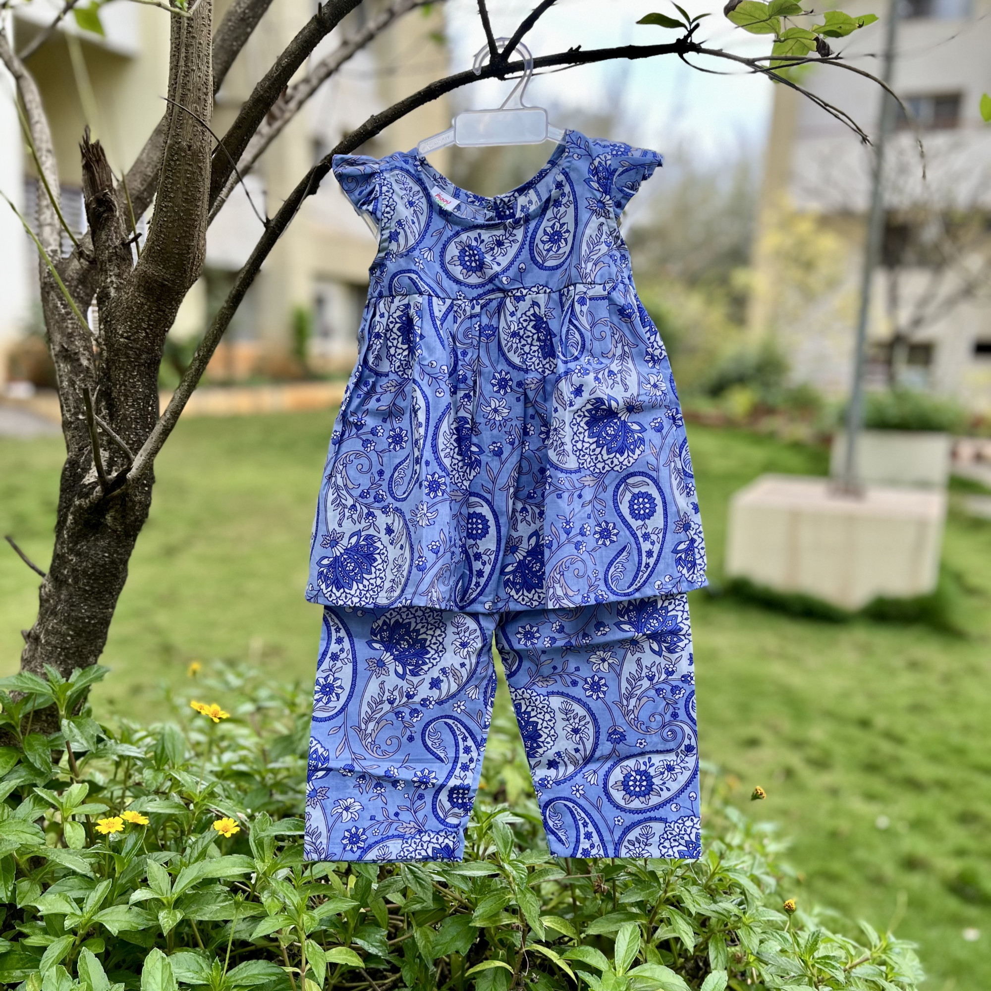 Blue Paisley Print Frock-Style Top and Pants