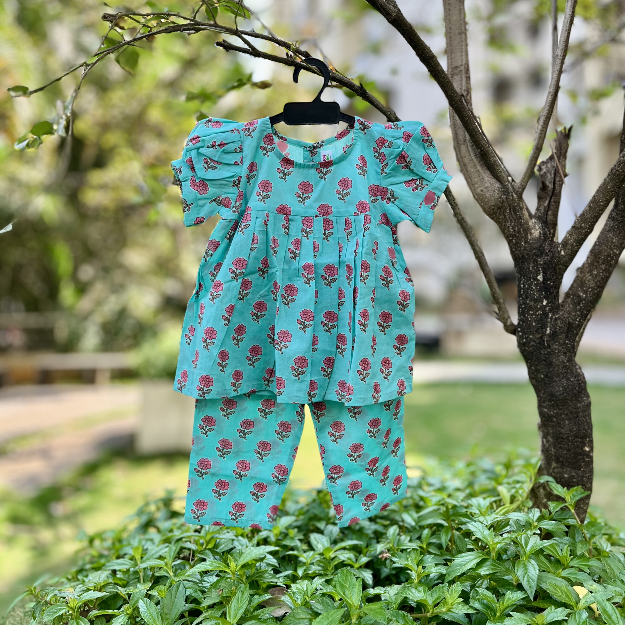 Little GulmoharPrint Frock-Style Top and Pants