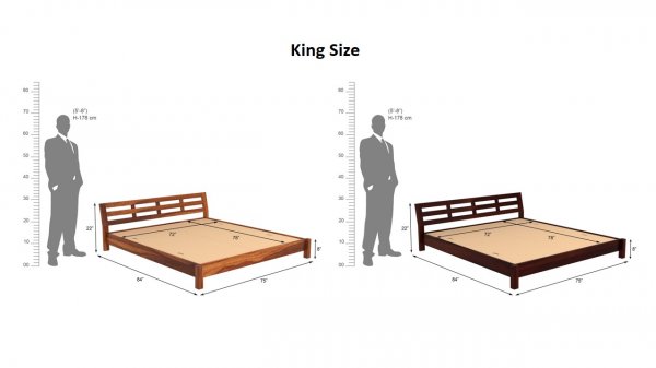 Coral Bed Without Storage