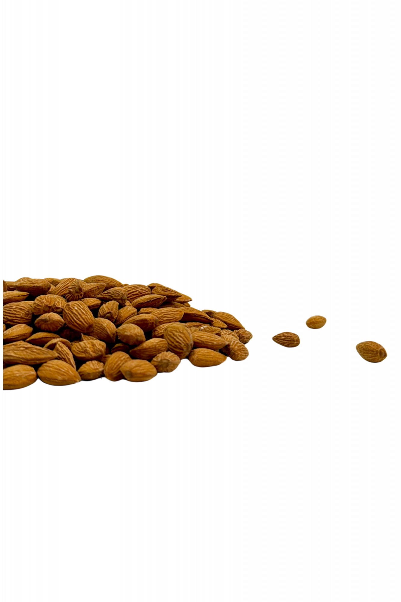 Kashmiri Almonds