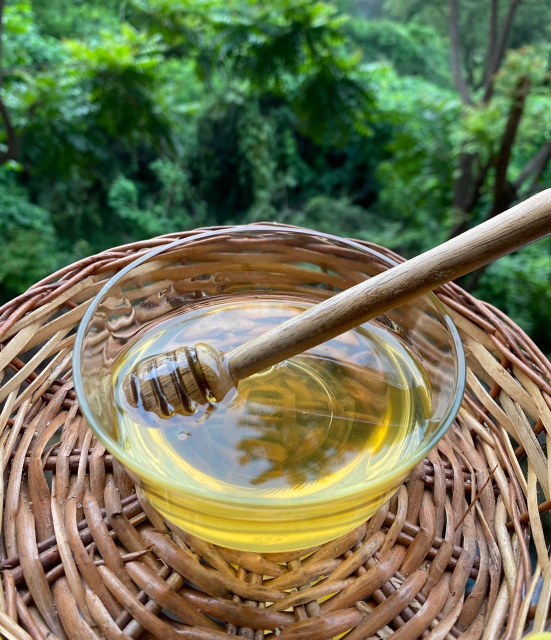 Acacia Honey