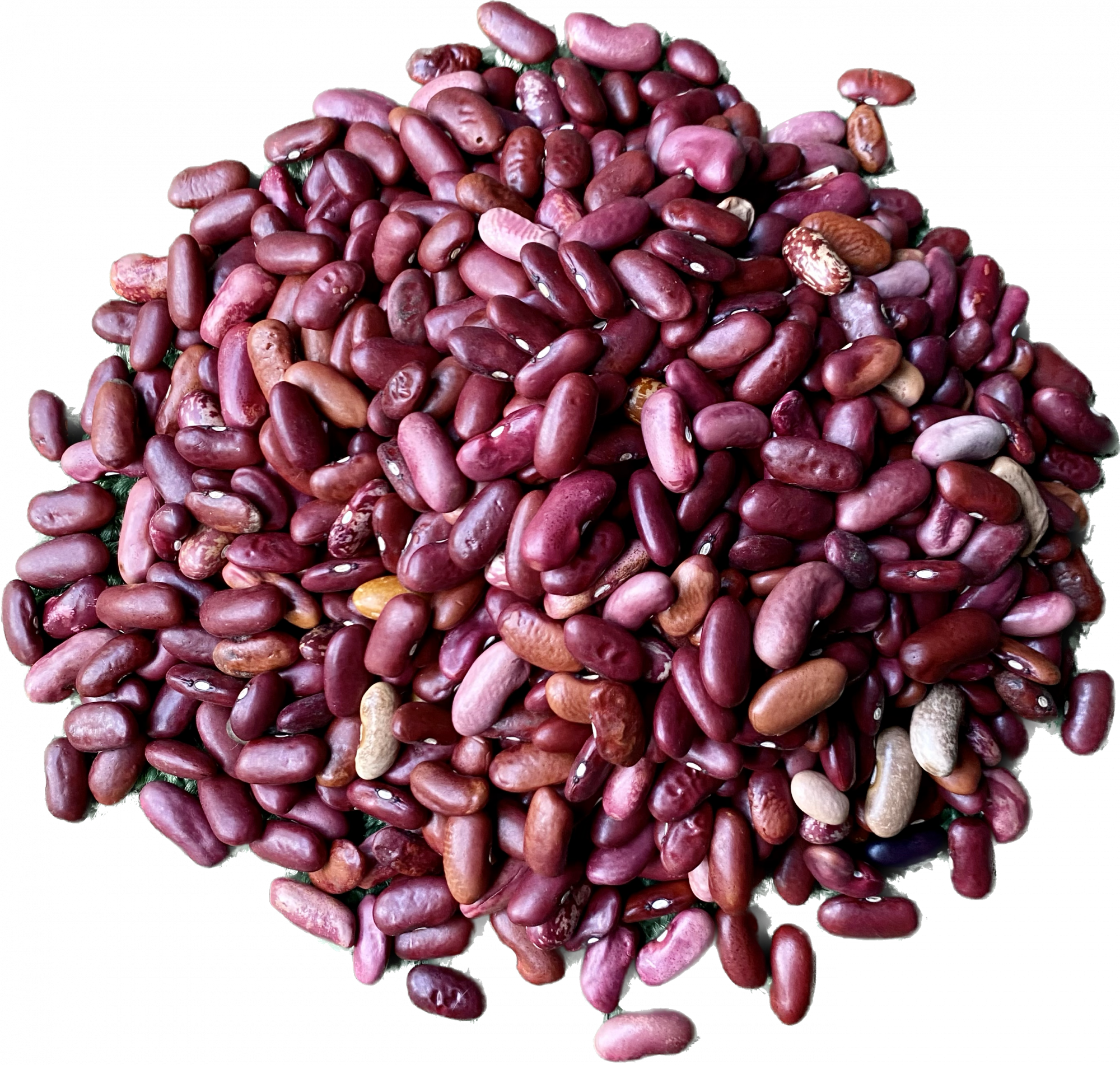 Kashmiri Rajma Kidney Beans