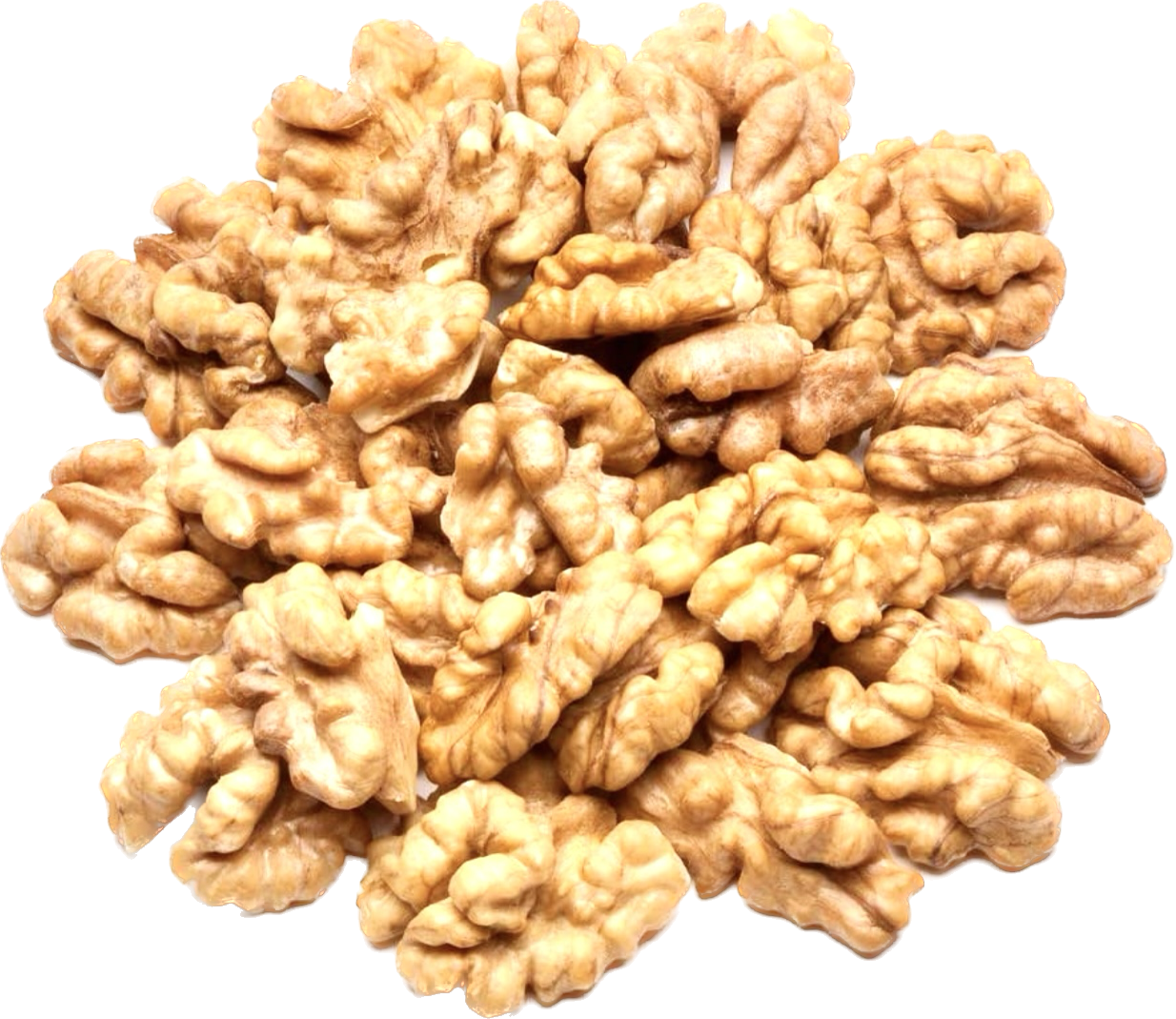 Kashmiri Walnut Kernels