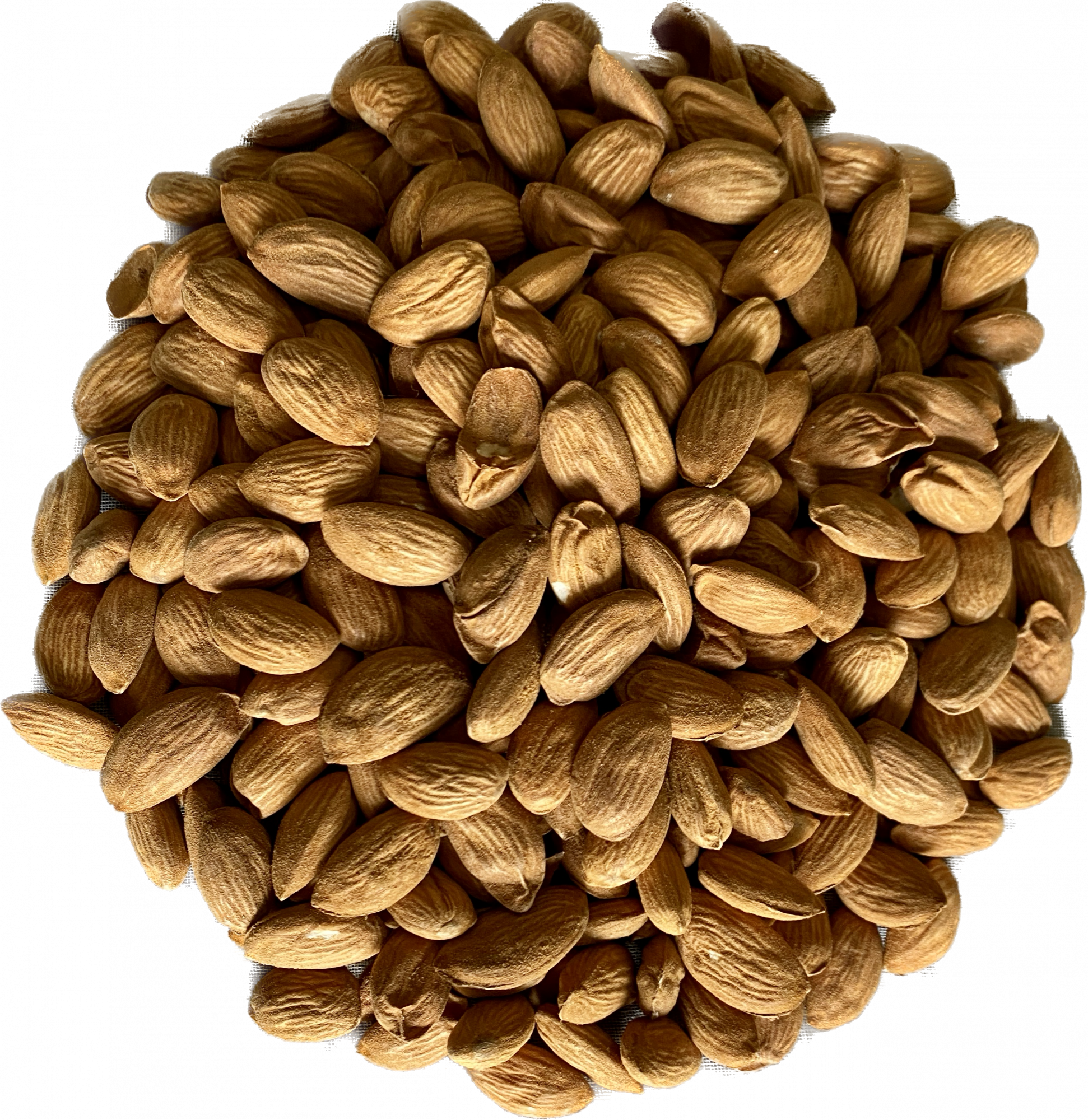 Kashmiri Almonds