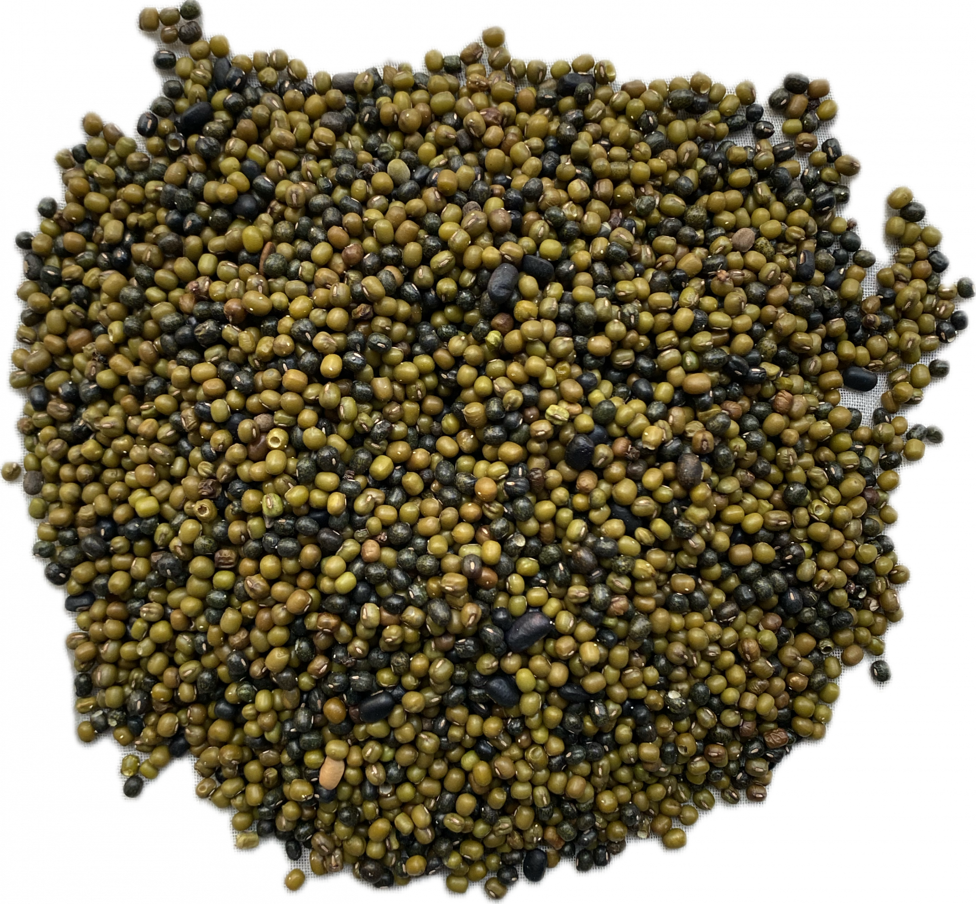 Kashmiri Moong Green Gram