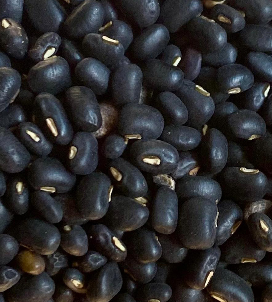 Black Beans Warimuth