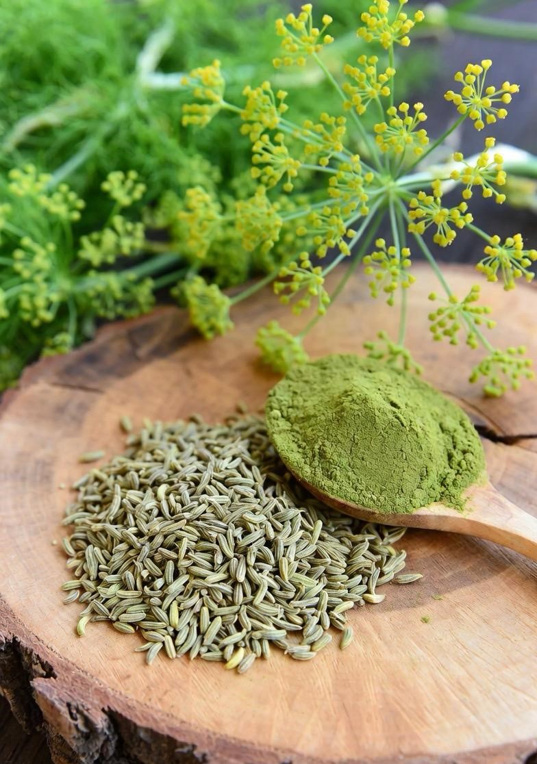 Fennel Saunf Powder