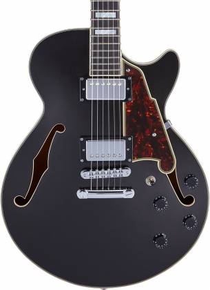 D'Angelico DAPSSBLFCS Hollow Premier SS Stairstep Black Flake Electric Guitar