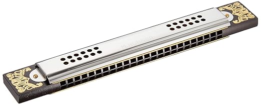 Hohner M5348037 D Key Tremelo Harmonica