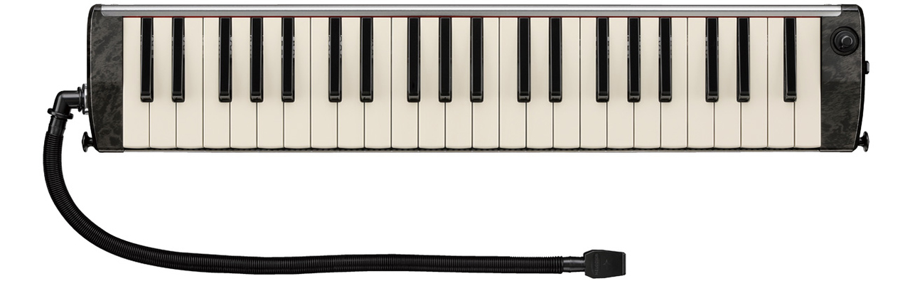 Hammond PRO-44HP V2 With Case Melodion