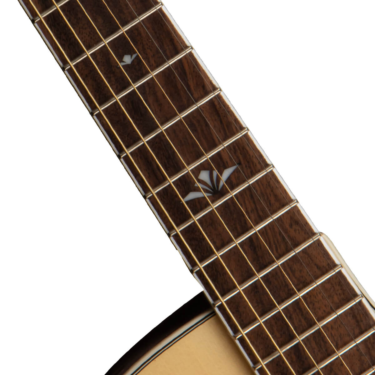 Cort GA-FF NAT Natural Glossy With Cutaway Electro-Acoustic Guitar