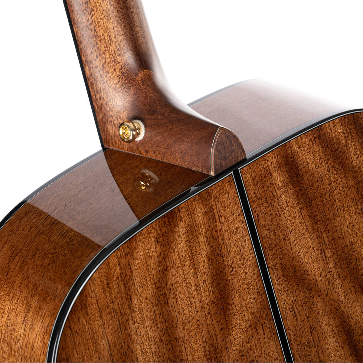 Cort GOLD-D6 Natutral Gold Series Acoustic Guitar