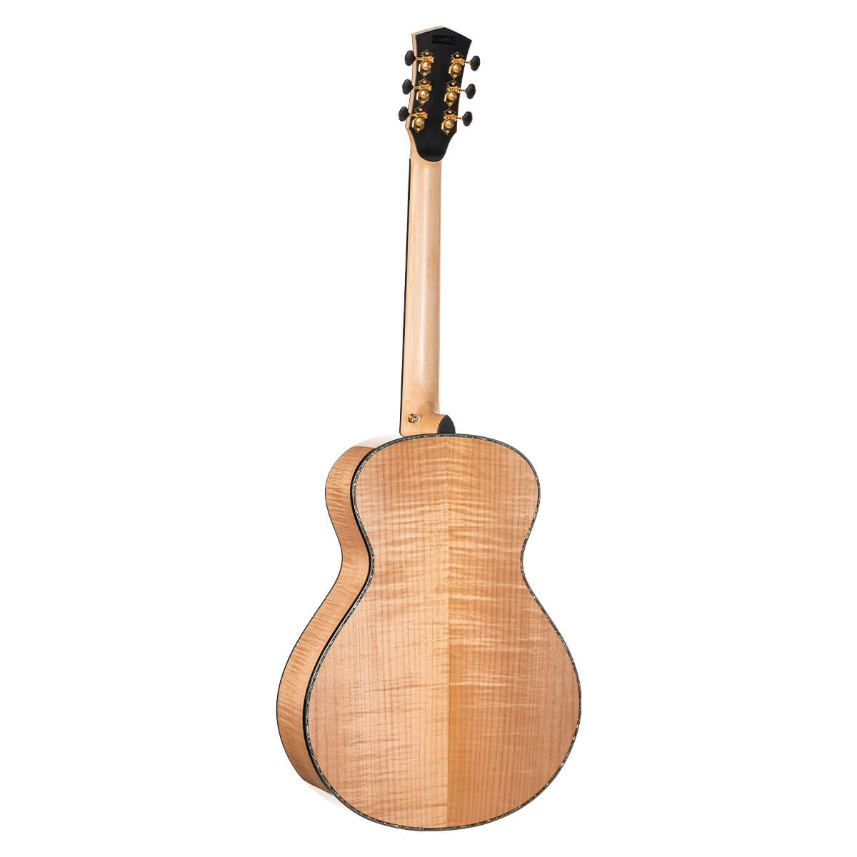 Cort Gold-Passion Natutral With Case Gold-passion Natutral Electro-Acoustic Guitar