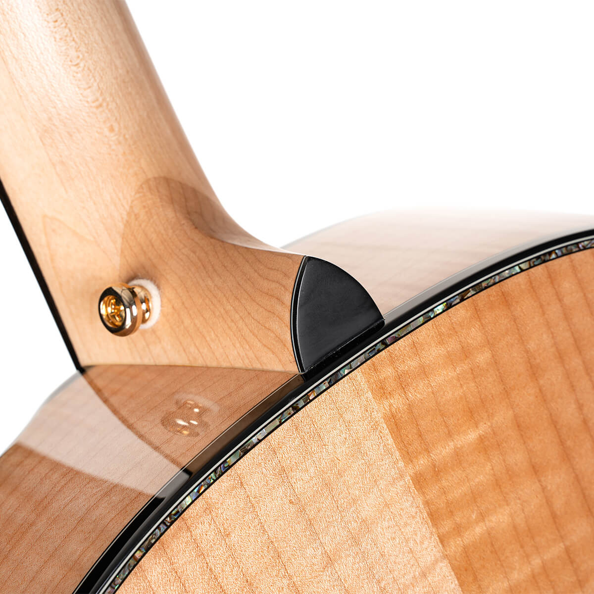 Cort Gold-Passion Natutral With Case Gold-passion Natutral Electro-Acoustic Guitar