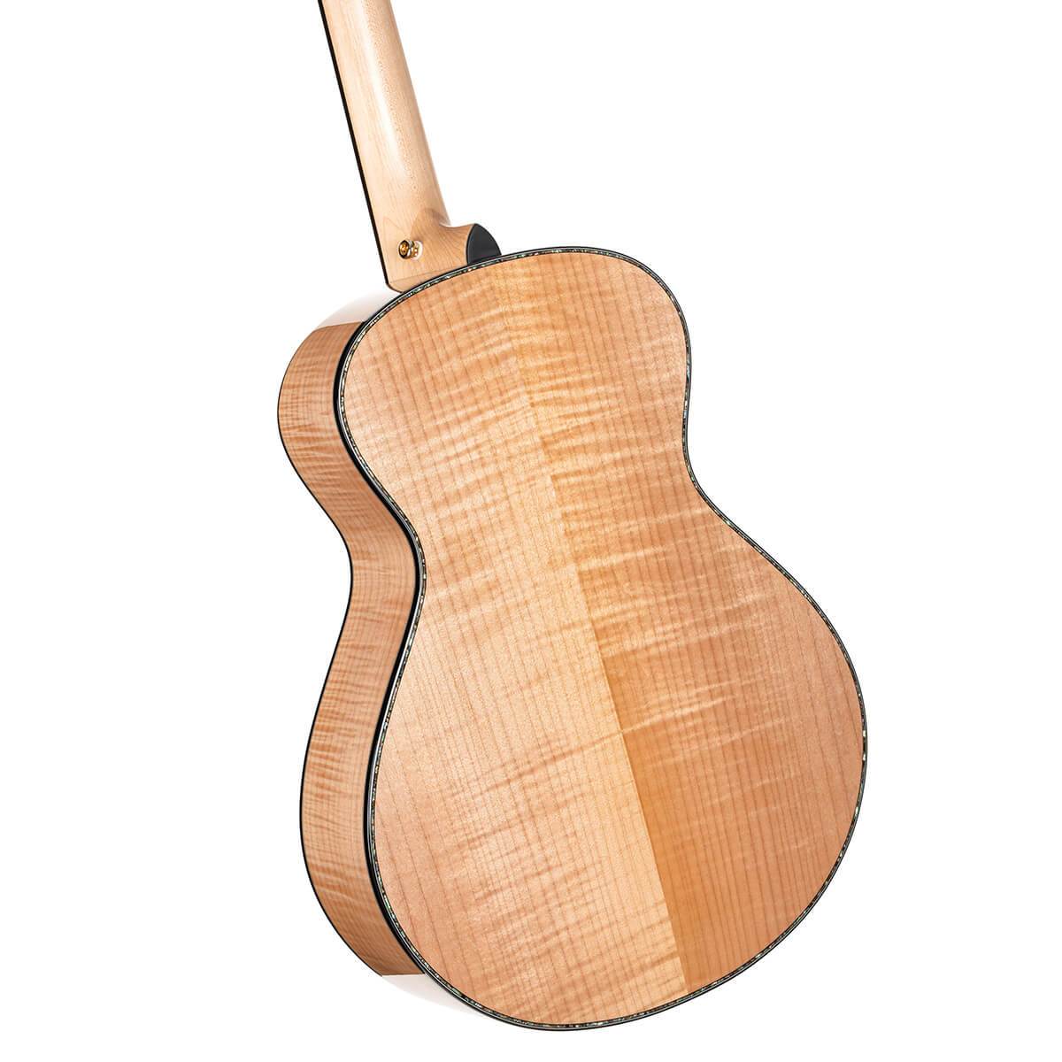 Cort Gold-Passion Natutral With Case Gold-passion Natutral Electro-Acoustic Guitar