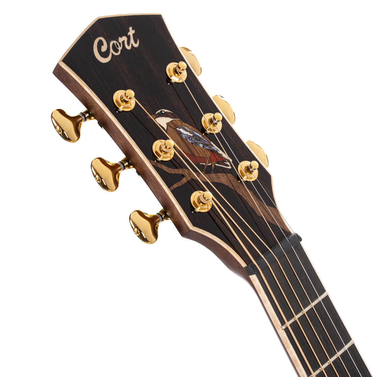 Cort Little Forest Angel LE-NAT Cutaway Limited Edition Electro-Acoustic Guitar