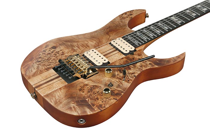 Ibanez RGT1220PB-ABS RG Premium Series with Bag Antique Brown Stained Electric Guitar