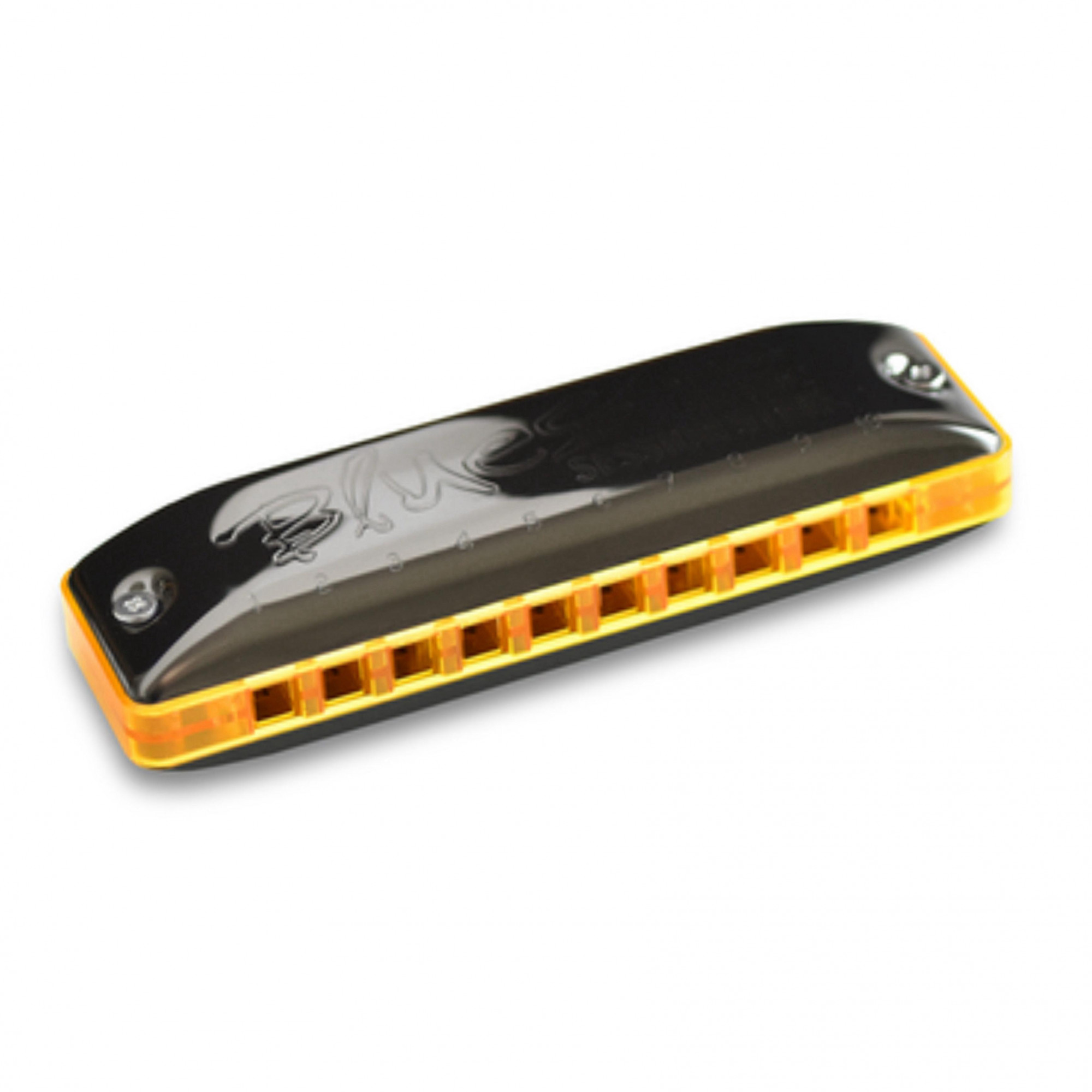 Seydel 10301D-S Blues Session Steel Key D Summer Edition Harmonica