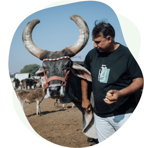 Know About Our Dairy Farm &amp; Our History