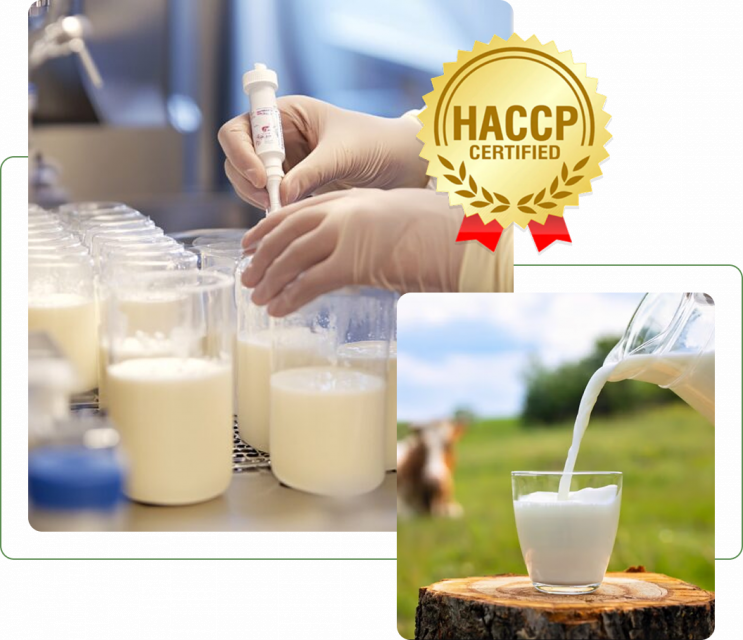 Testing &amp; Free Sample Offer