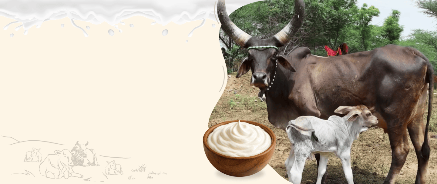 The Farm of Dairy Products