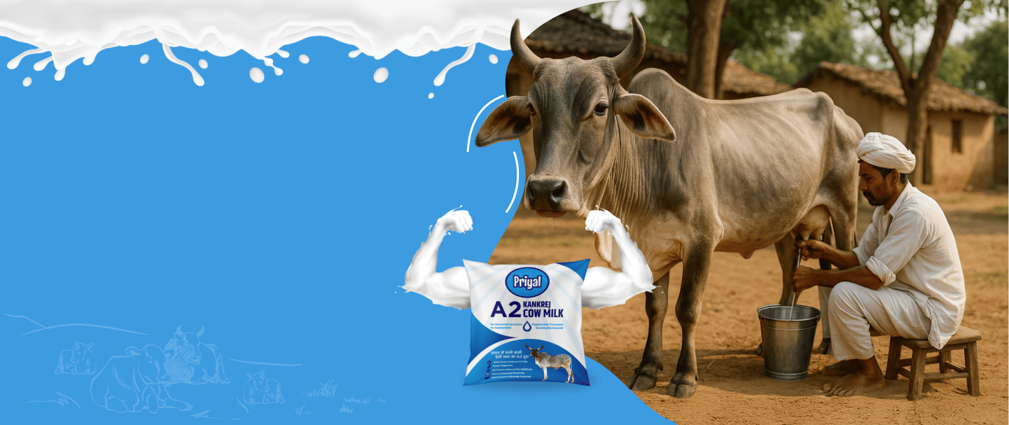 The Farm of Dairy Products