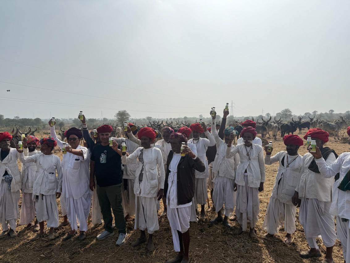 The Farm of Dairy Products
