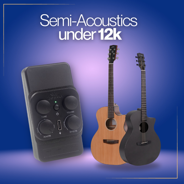 Semi Acoustic guitars under 10k