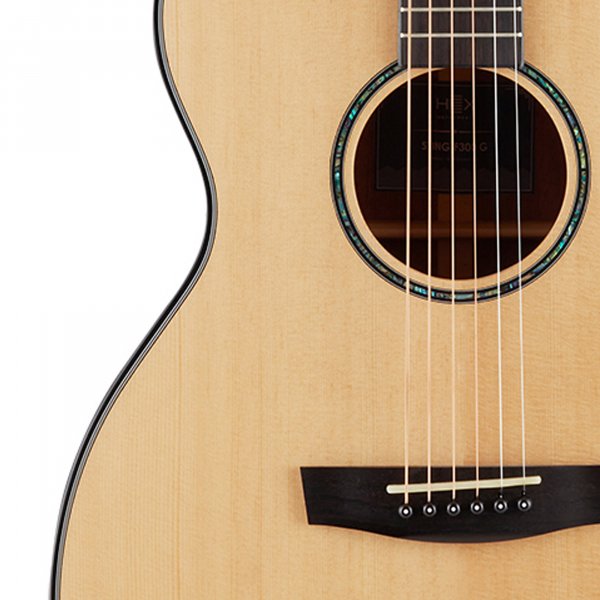 Hex Solid Top Hero Guitar