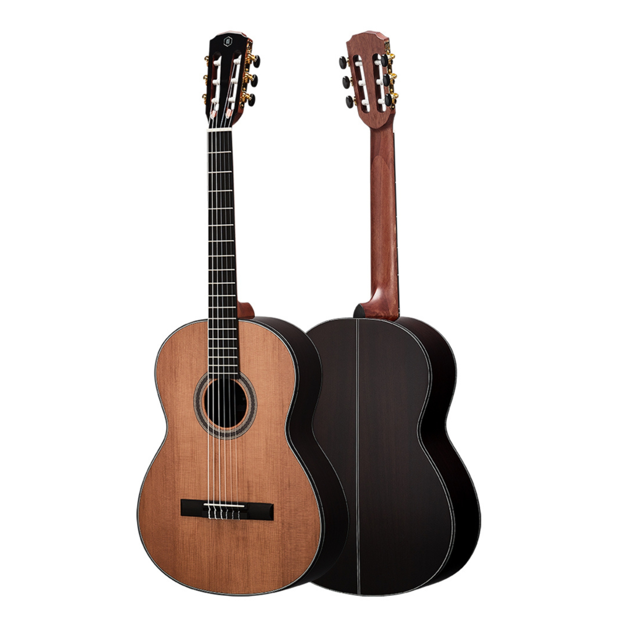 HEX C350G ROASTED SOLID SPRUCE TOP 39 CLASSICAL POLLEN SERIES