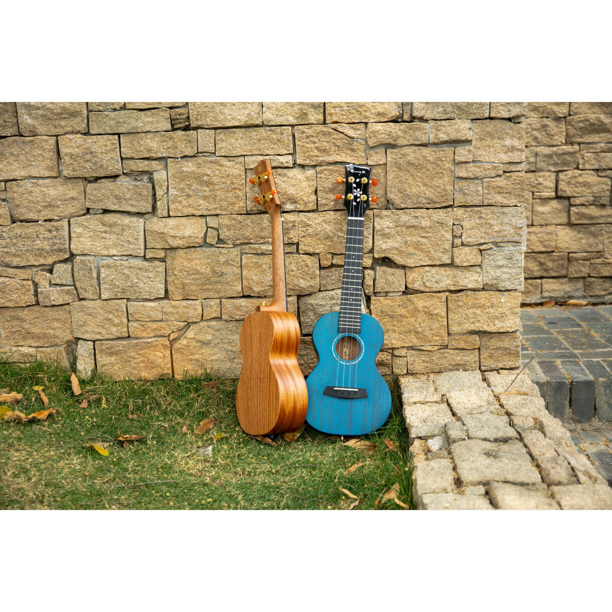 Enya EUC MS EQ BLUE All Solid Mahogany