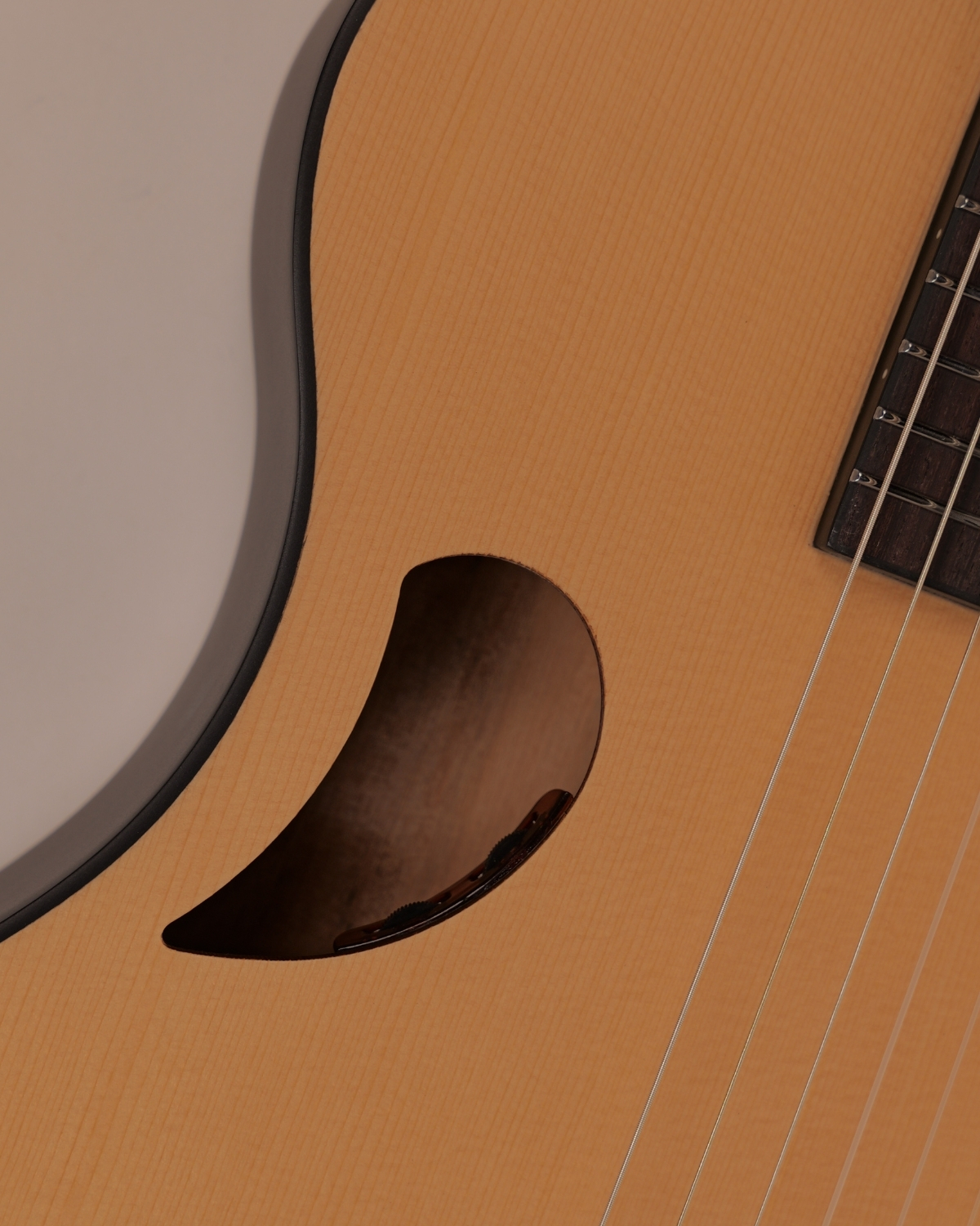 Hex Y500N CLASSICAL GUITAR WITH LR BAGGS ELEMENT BRONZE EQ