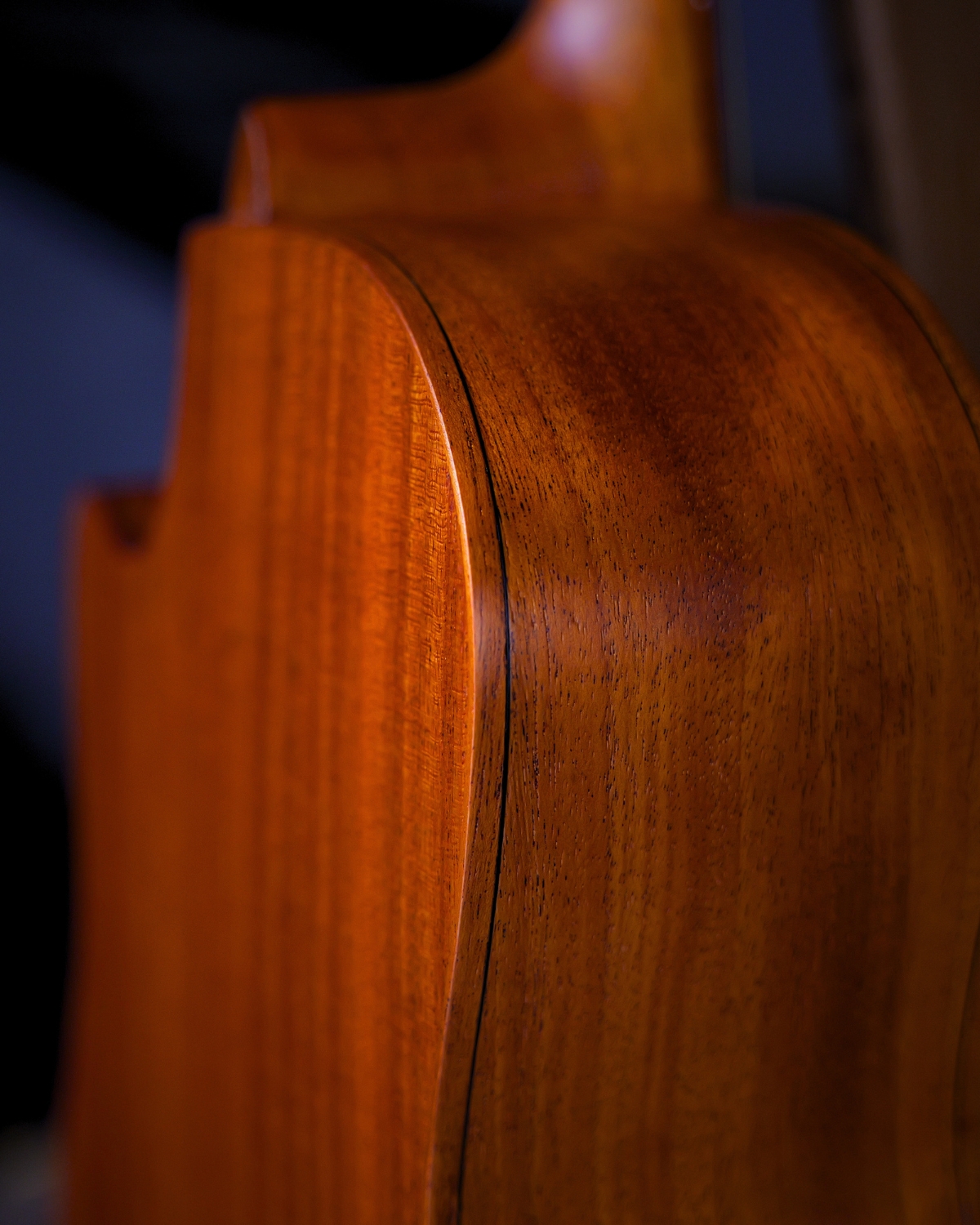 GA40C Red Mahogany Solid Spruce Top Acoustic Guitar Mahogany Back Sides