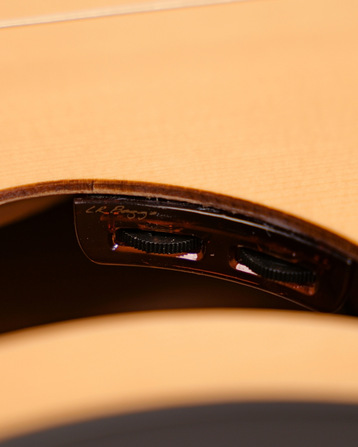 Hex Y500N  CLASSICAL GUITAR WITH LR BAGGS ELEMENT BRONZE EQ