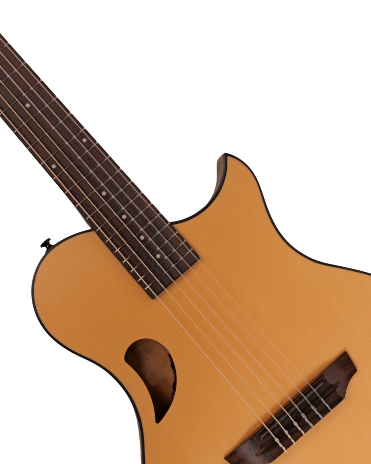 Hex Y500N CLASSICAL GUITAR WITH LR BAGGS ELEMENT BRONZE EQ