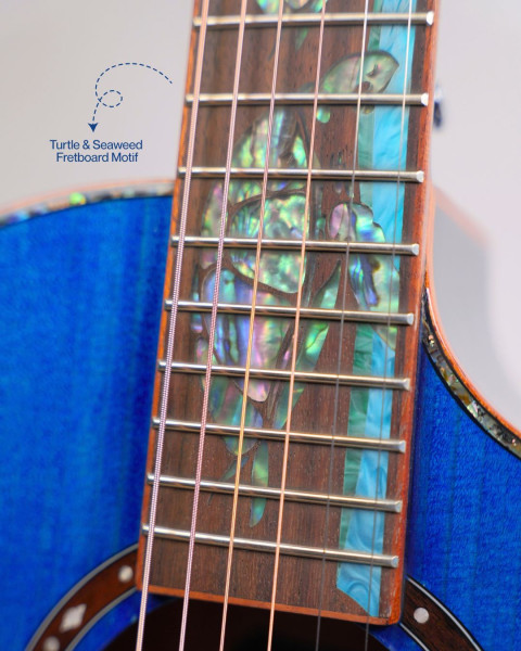 Strydom S236C Reef rosewood fingerboard and chrome die-cast tuners
