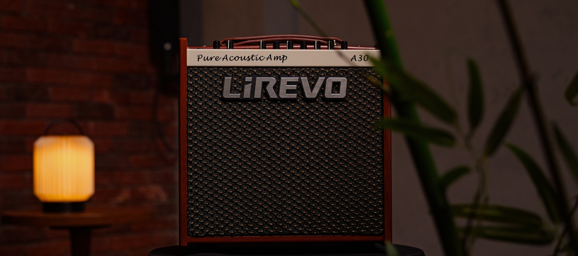 Lirevo A30 Acoustic Guitar Amplifier 30W India