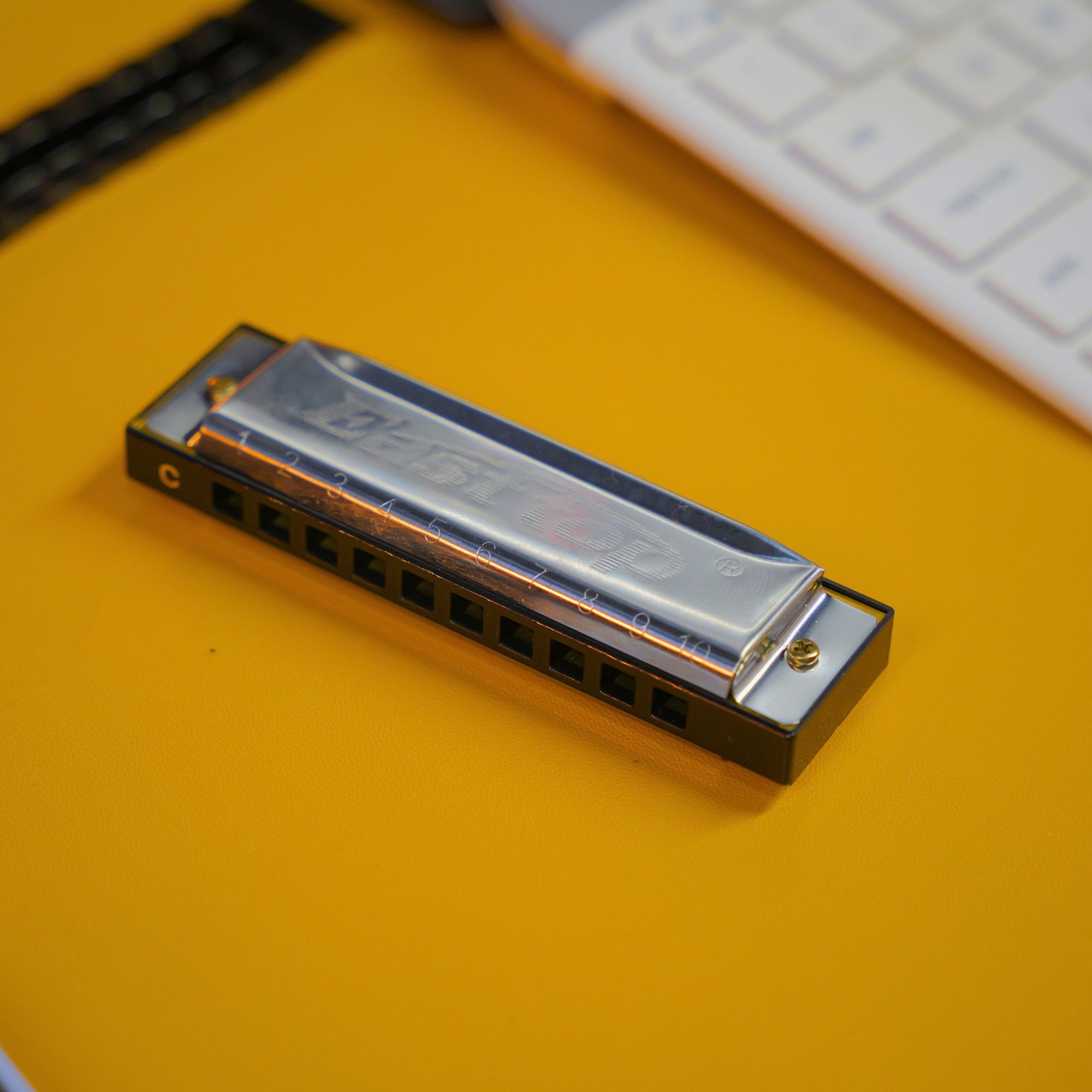 East top 10 Holes 40 Tones Professional Chromatic Harmonica Key of C Harmonica for Adults Professional Player and StudentsT10-40